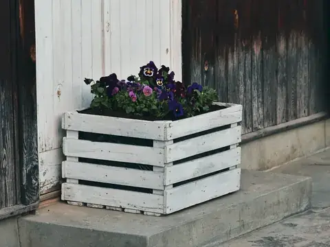 Wooden planter box planted with pansies